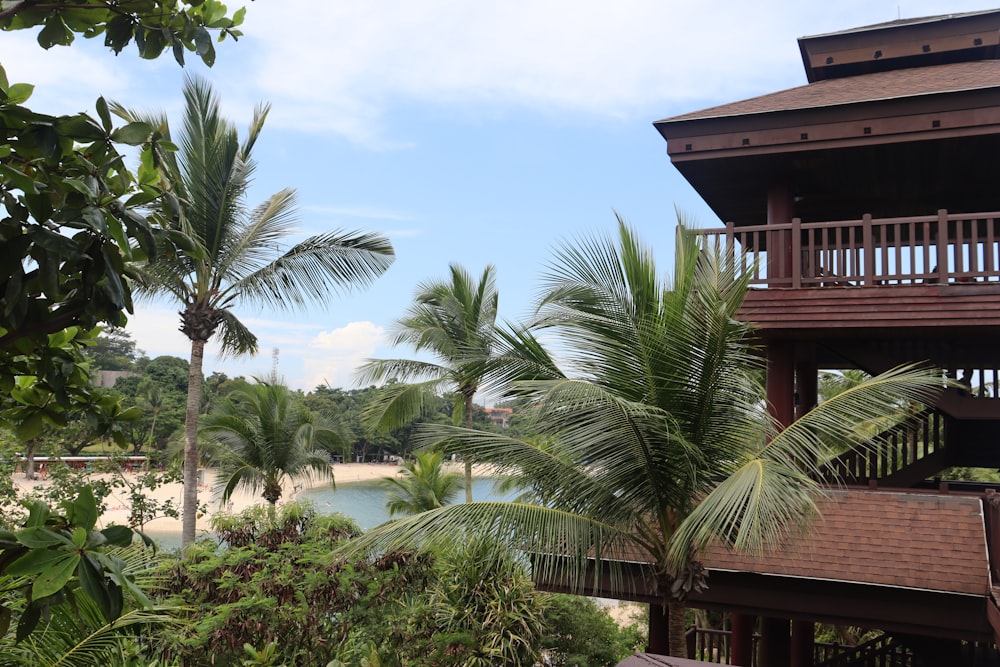 a view of a tropical beach from a balcony