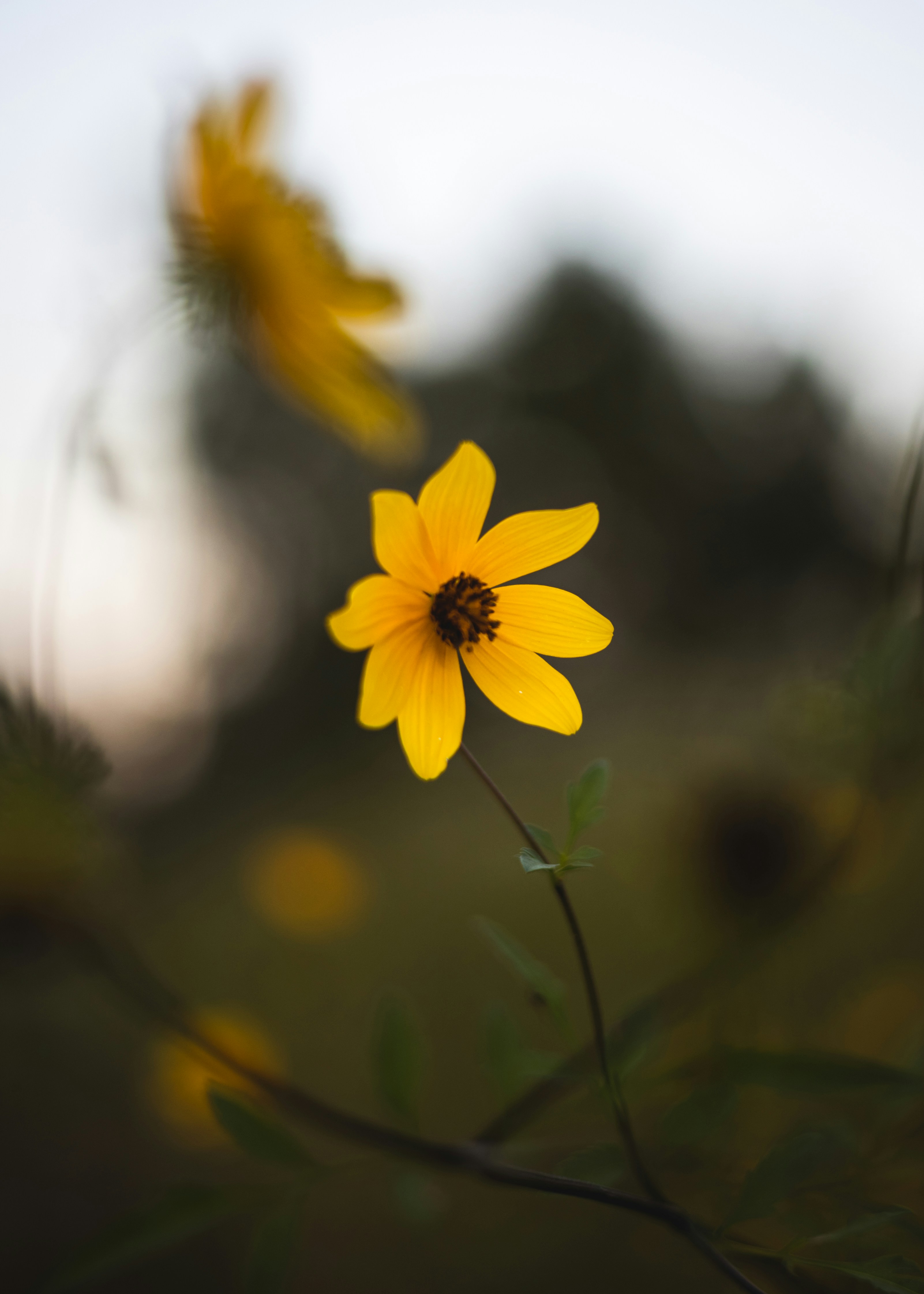 Photo by blaynespires