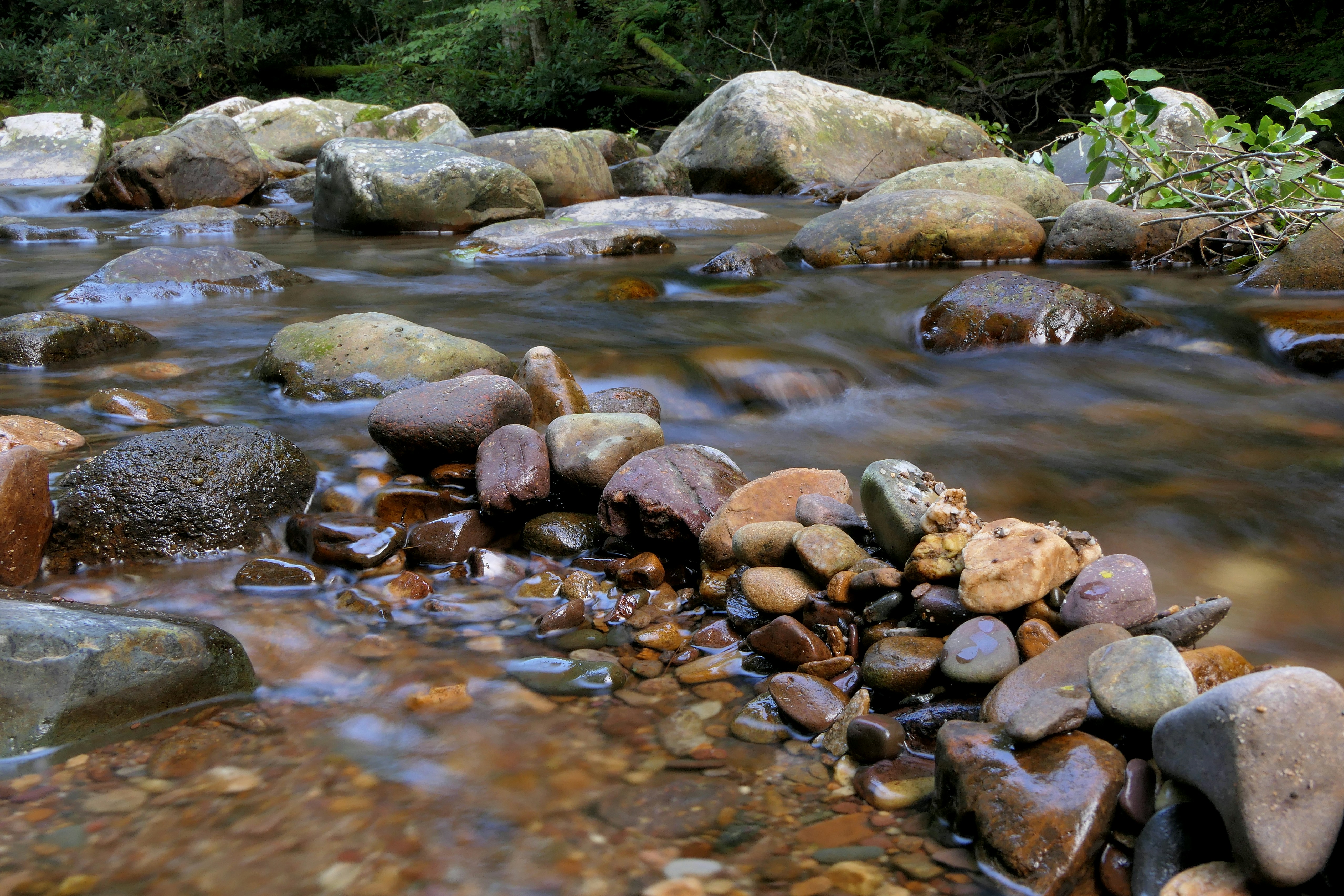 Un ruisseau d'eau qui coule à travers une forêt verdoyante photo – Image  gratuite de Texture sur Unsplash, image size:3000x2000
