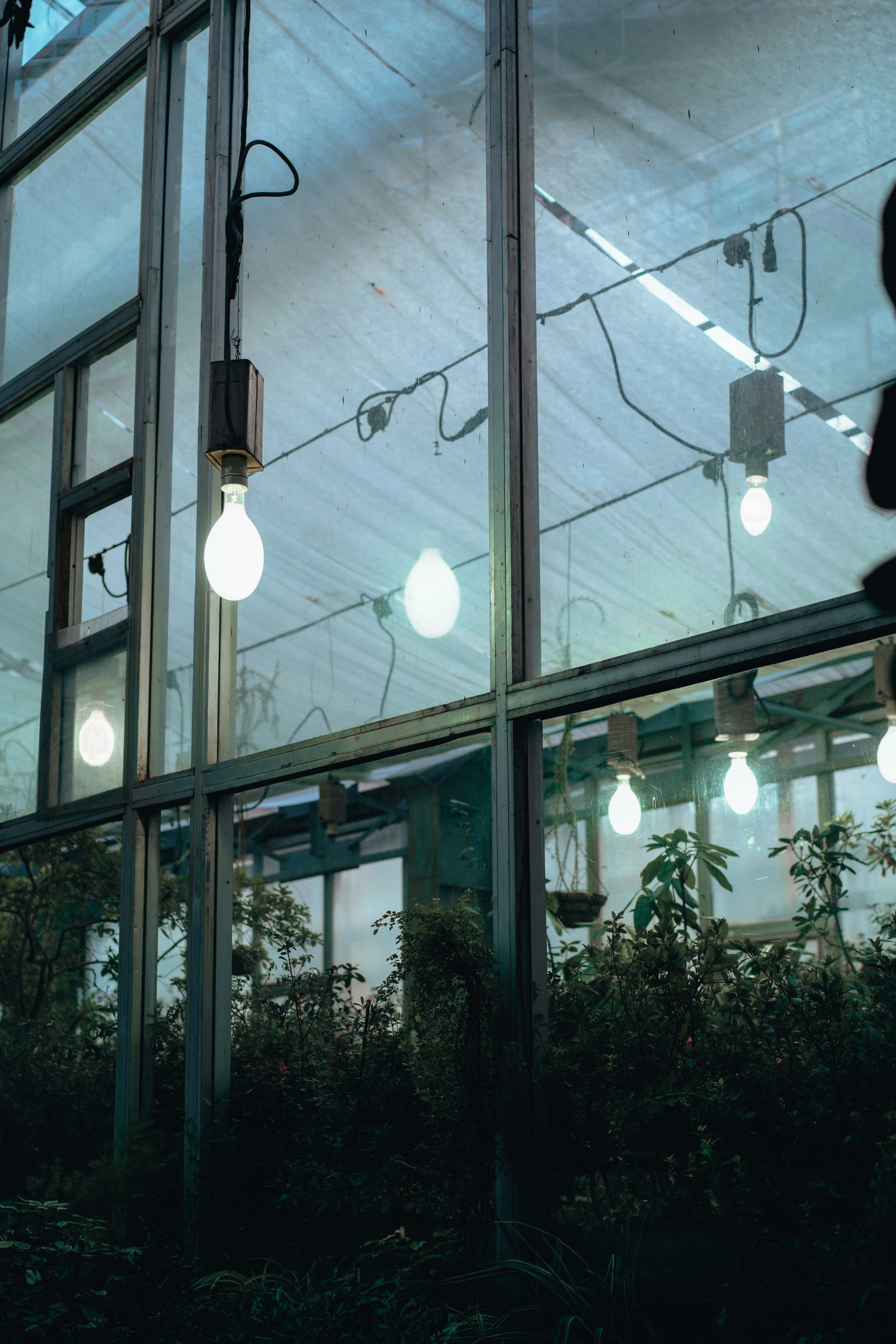 Photo by anamnesis33