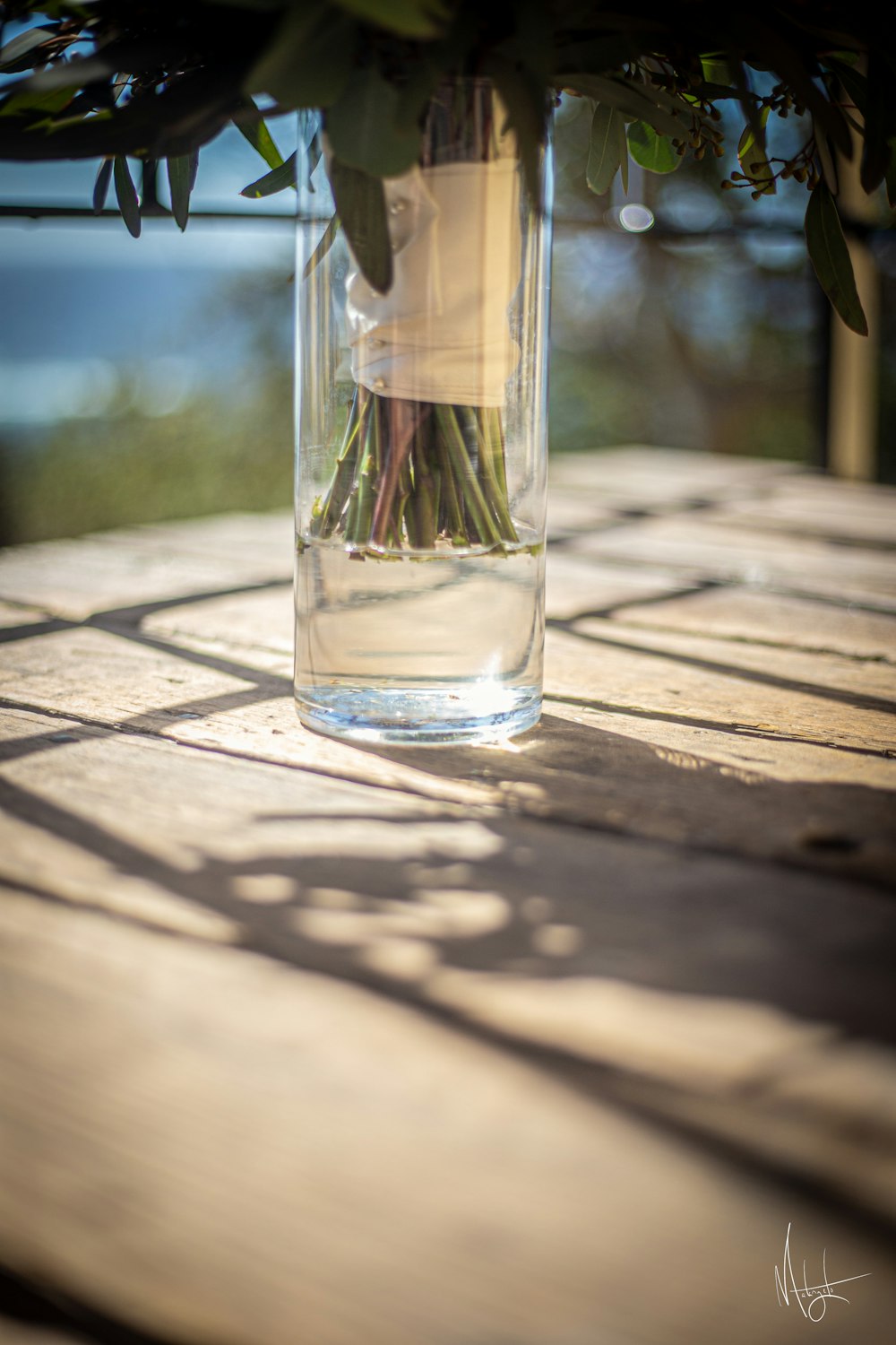 a vase filled with water sitting on top of a wooden table