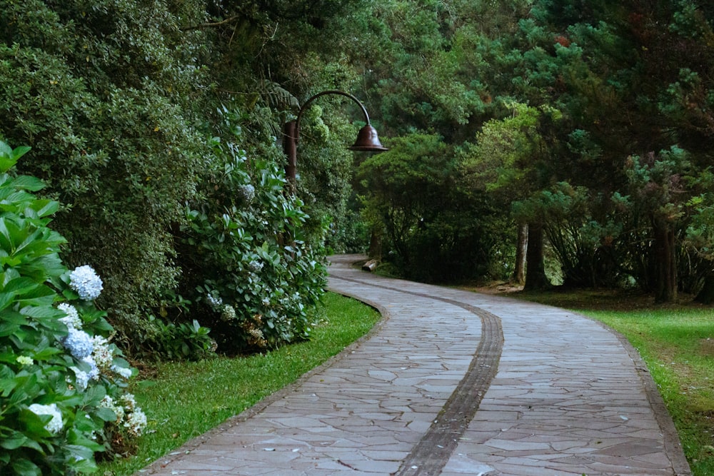 a paved road with a lamp post on the side