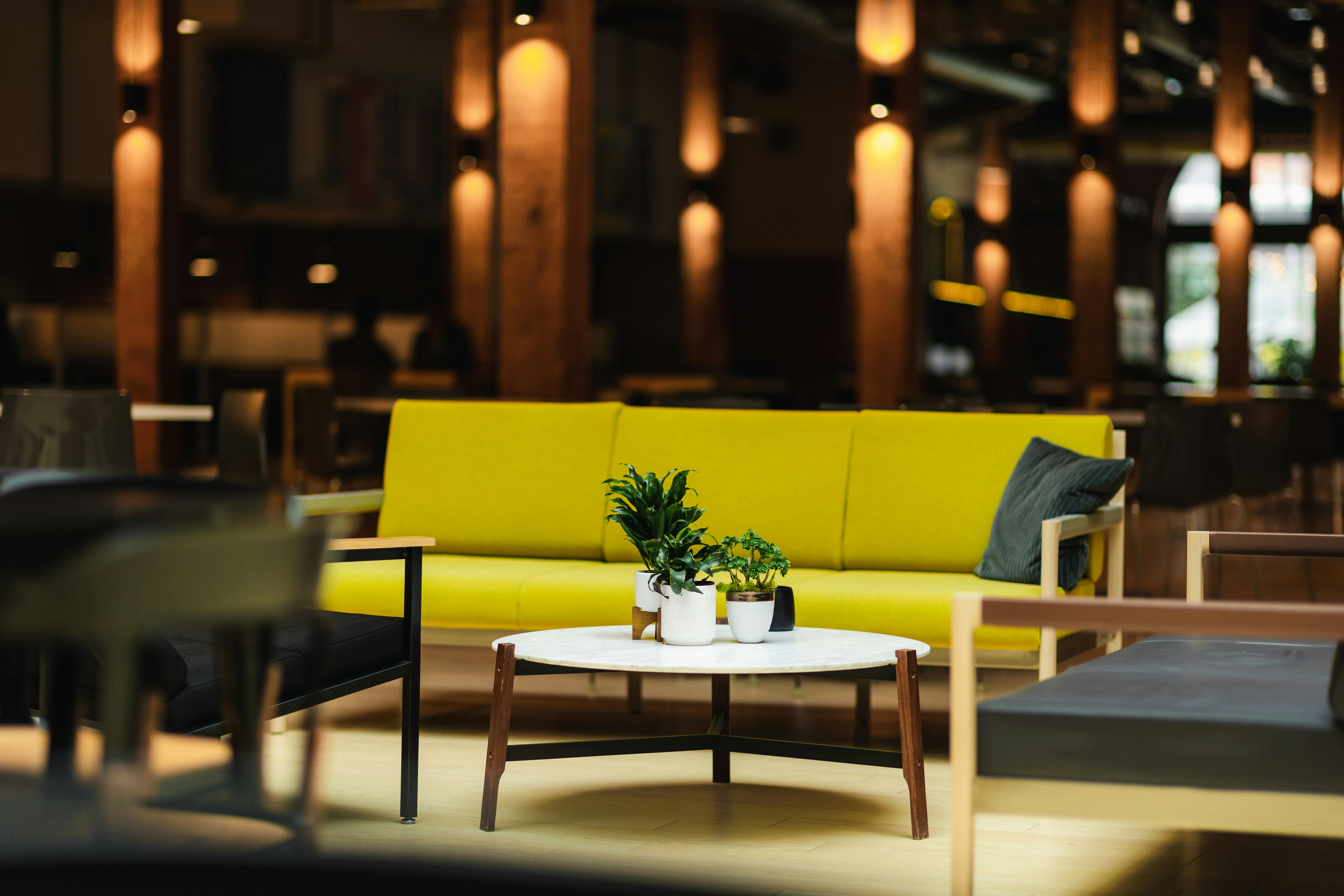 a living room filled with furniture and a plant