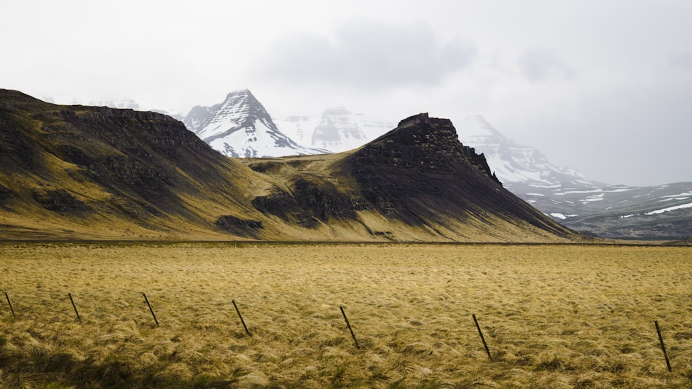 a grassy field with mountains in the background