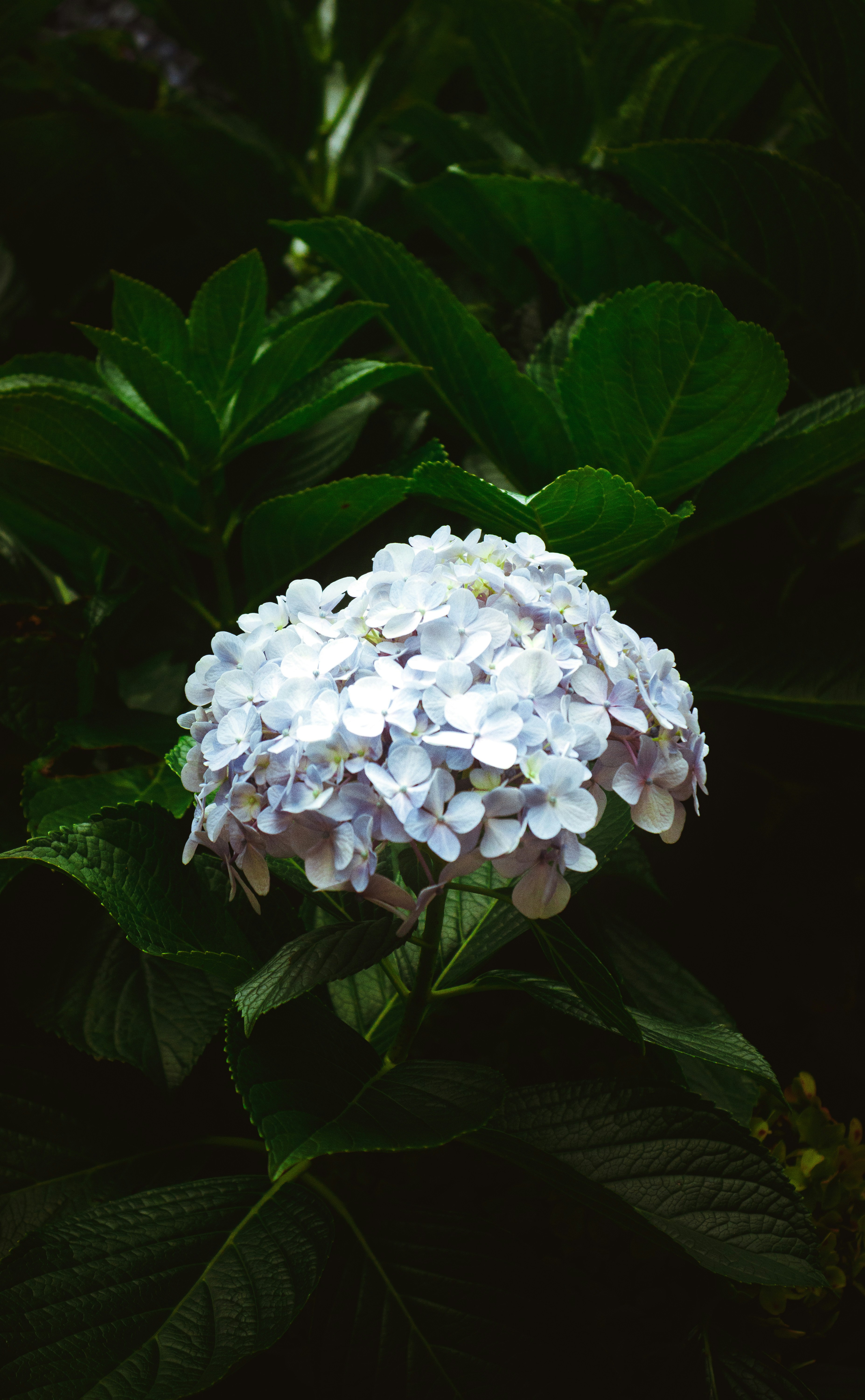 Photo by diegosoares