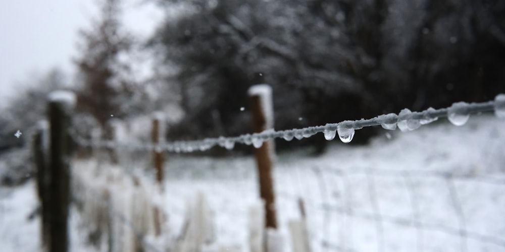 a wire fence covered in ice and water drops