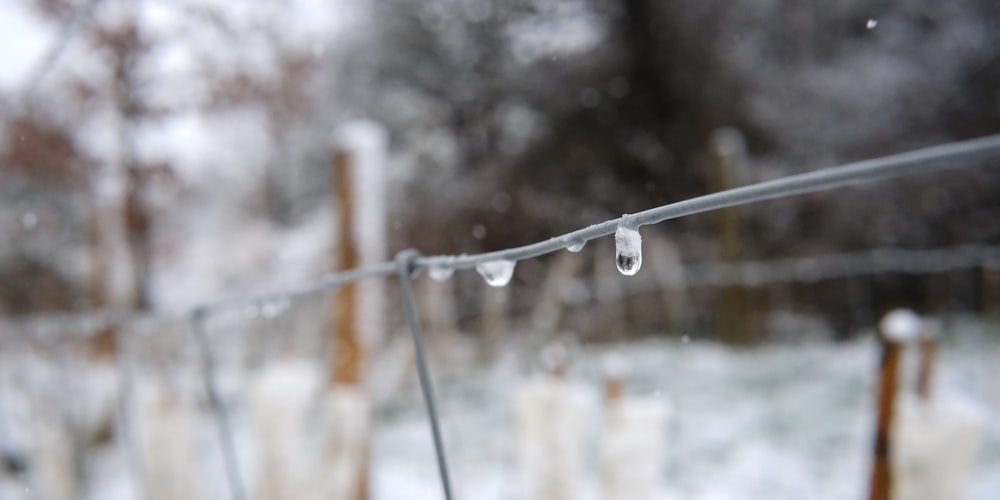 a wire fence with water drops hanging from it