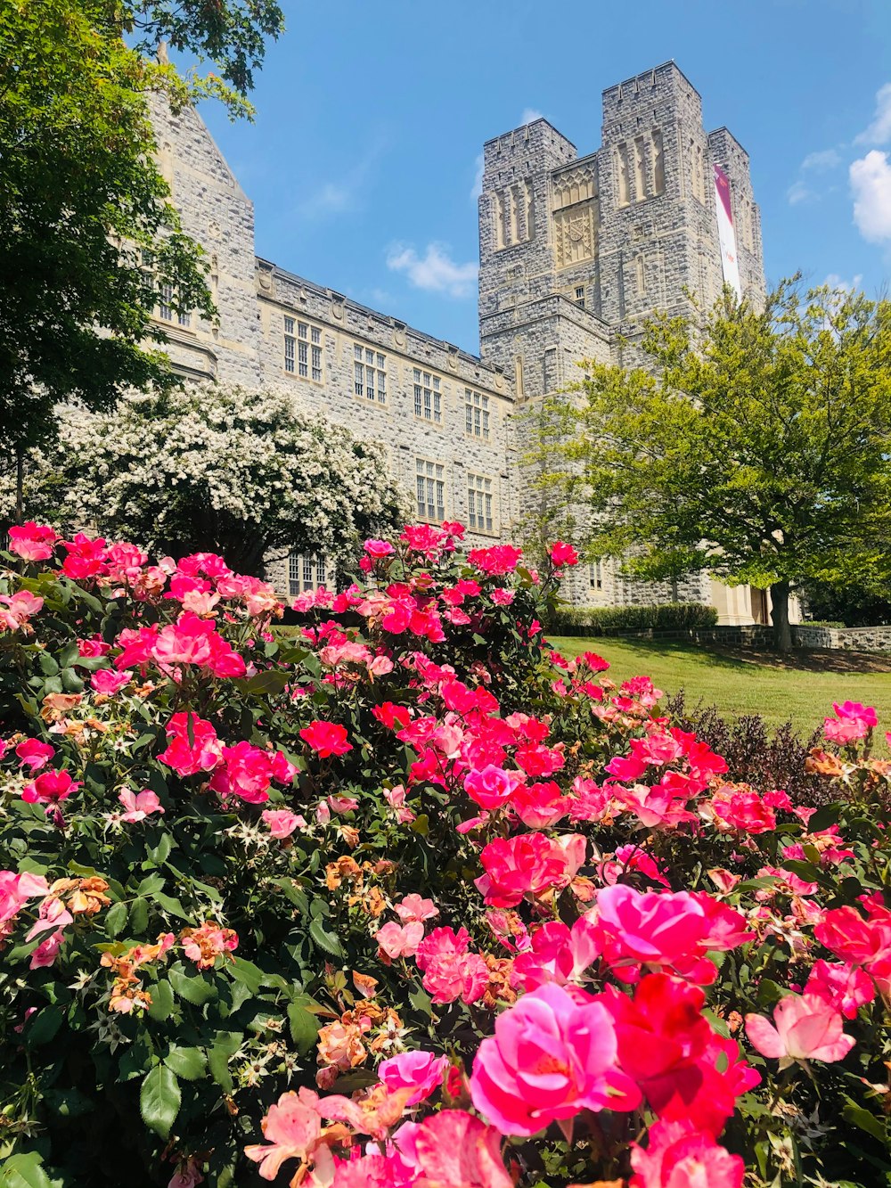 a bunch of flowers that are in front of a building