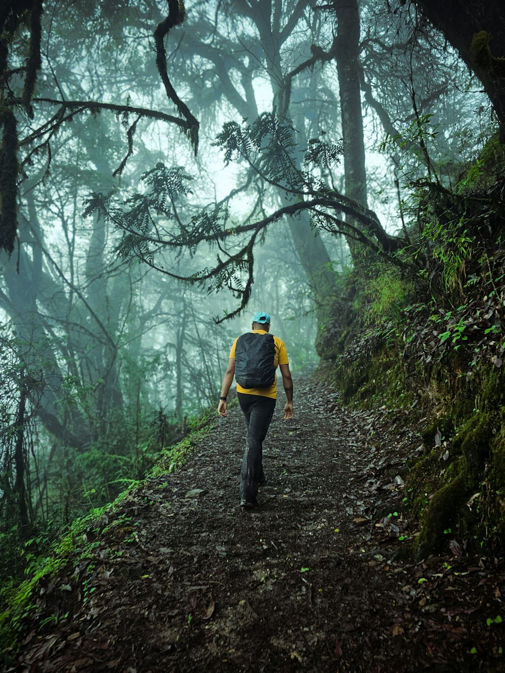 a man with a backpack walking down a trail in the woods