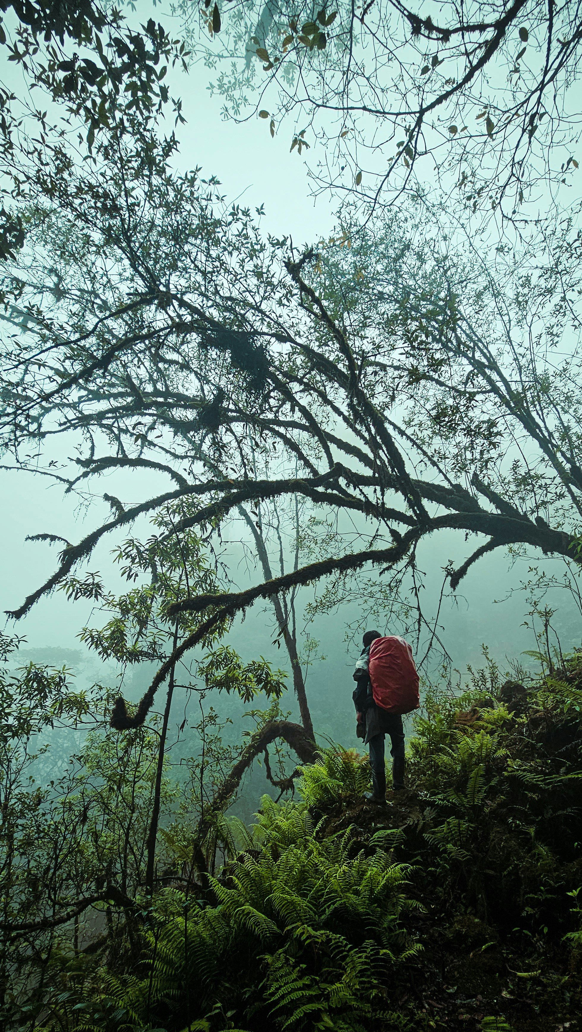a person standing on a hill with a backpack