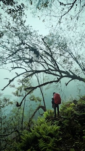 a person standing on a hill with a backpack