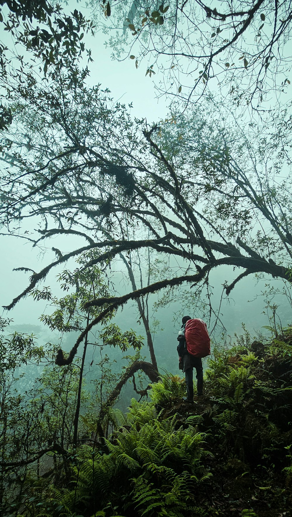 a person standing on a hill with a backpack