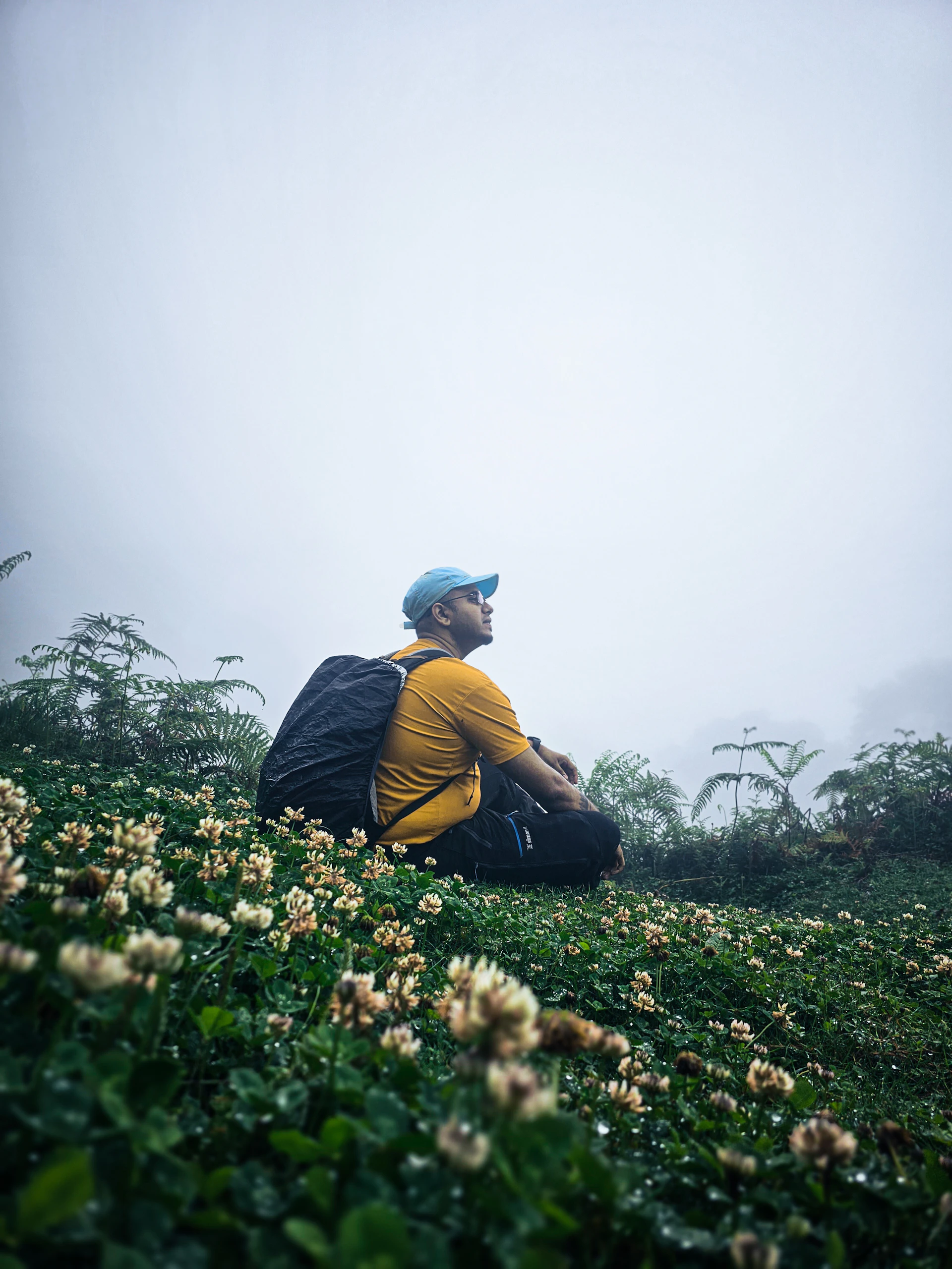 a man sitting in a field of flowers on a foggy day