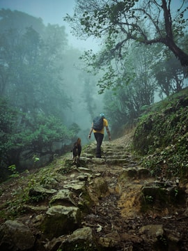 a man and a dog walking up a trail in the woods