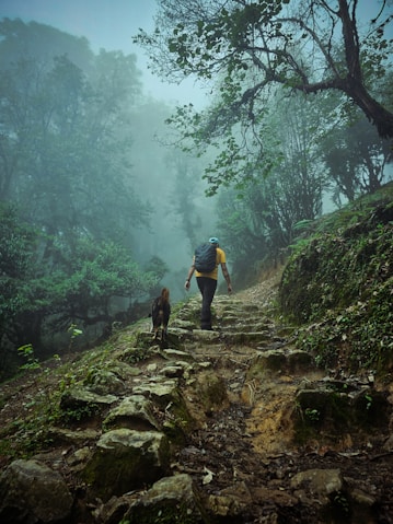 a man and a dog walking up a trail in the woods