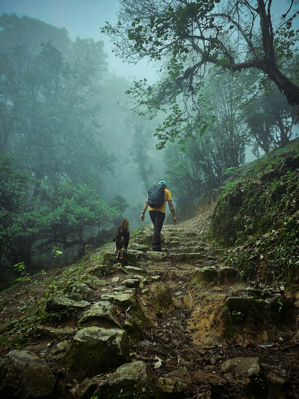 a man and a dog walking up a trail in the woods