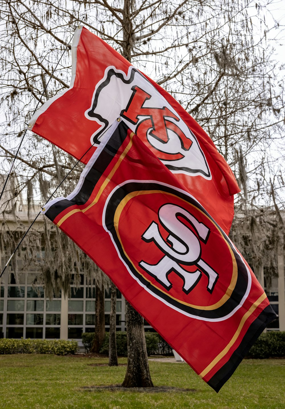 a couple of flags that are in the grass