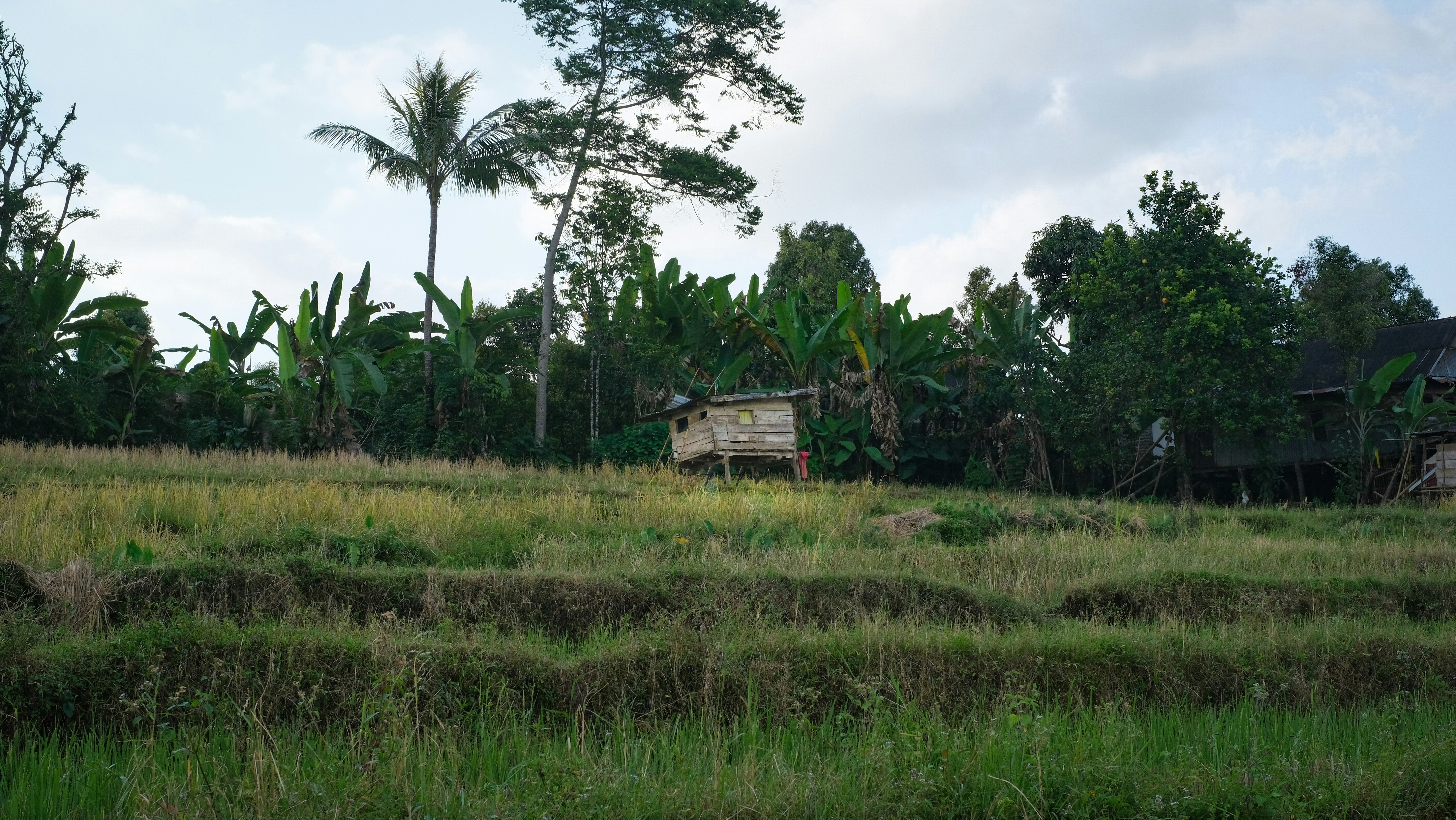 Photo by khaidirmuktamar