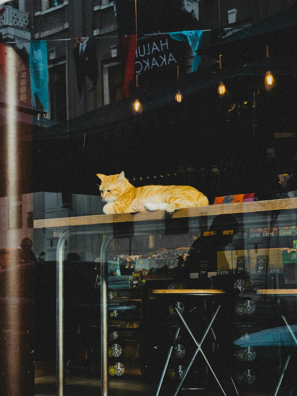 um gato amarelo deitado em cima de uma mesa