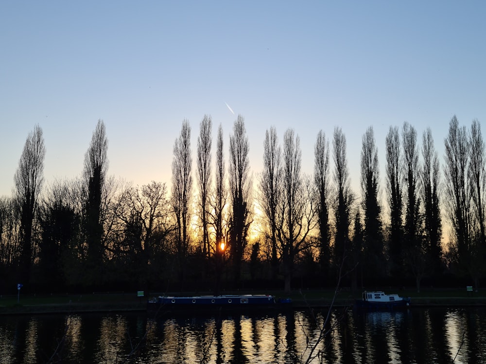 a body of water surrounded by trees and a boat