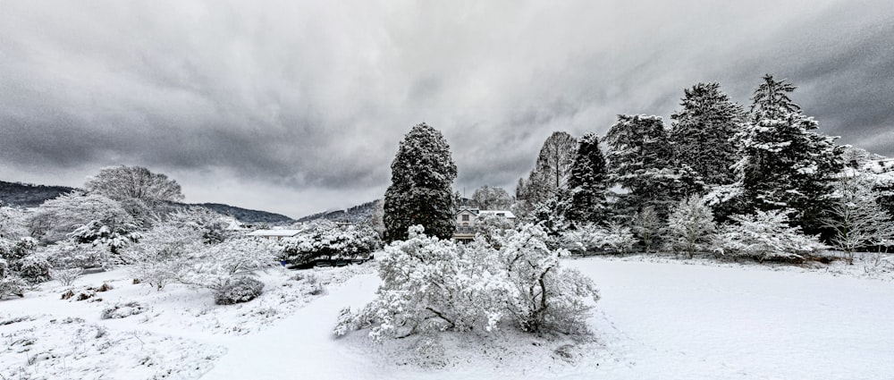 a snow covered field with trees and mountains in the background