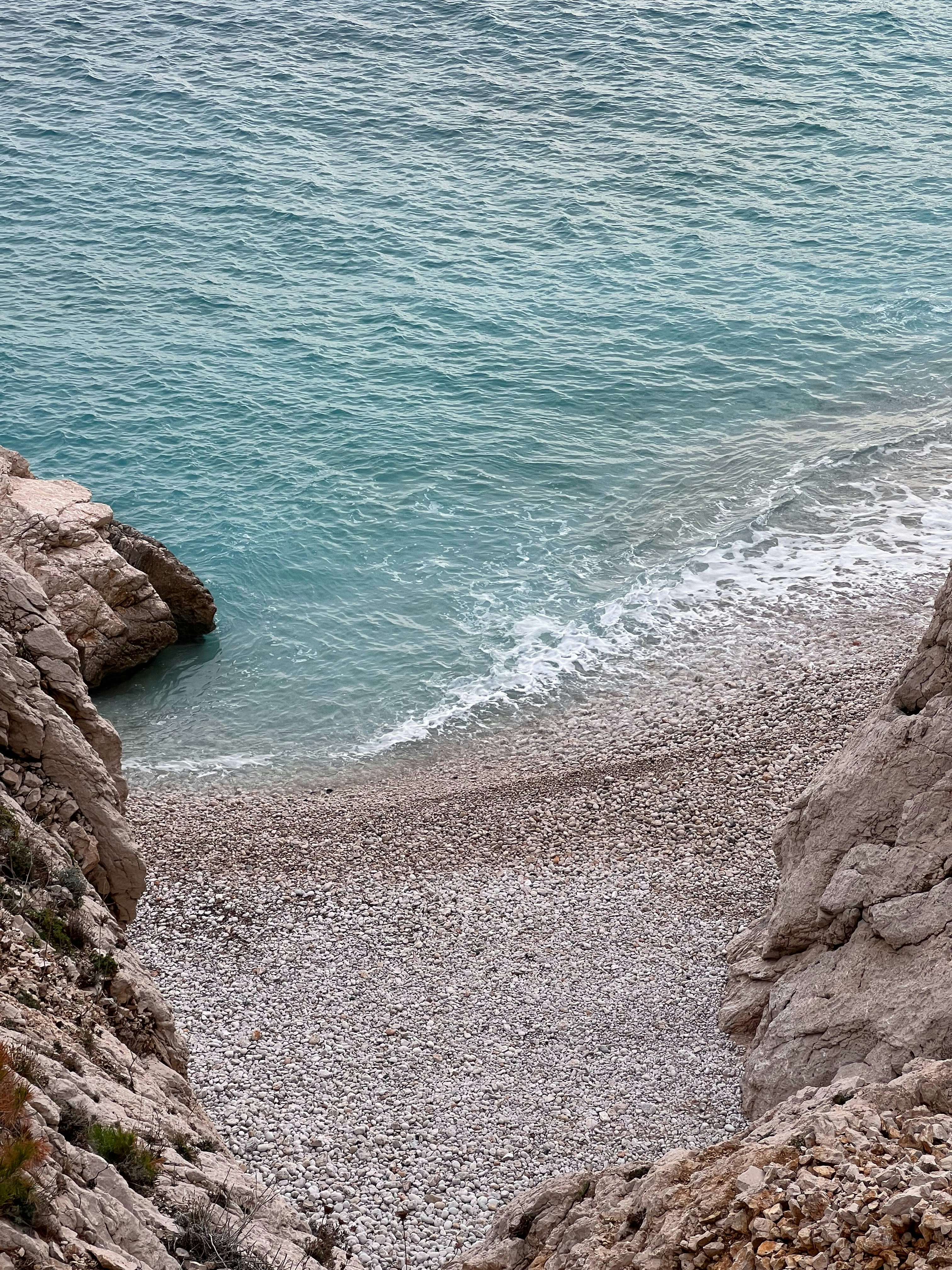 a bird sitting on a rock next to the ocean