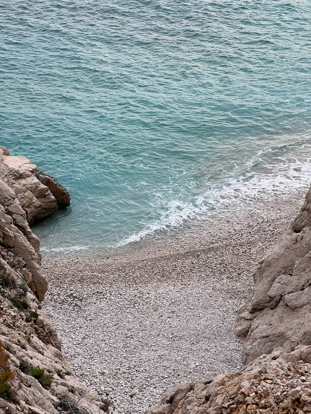 a bird sitting on a rock next to the ocean