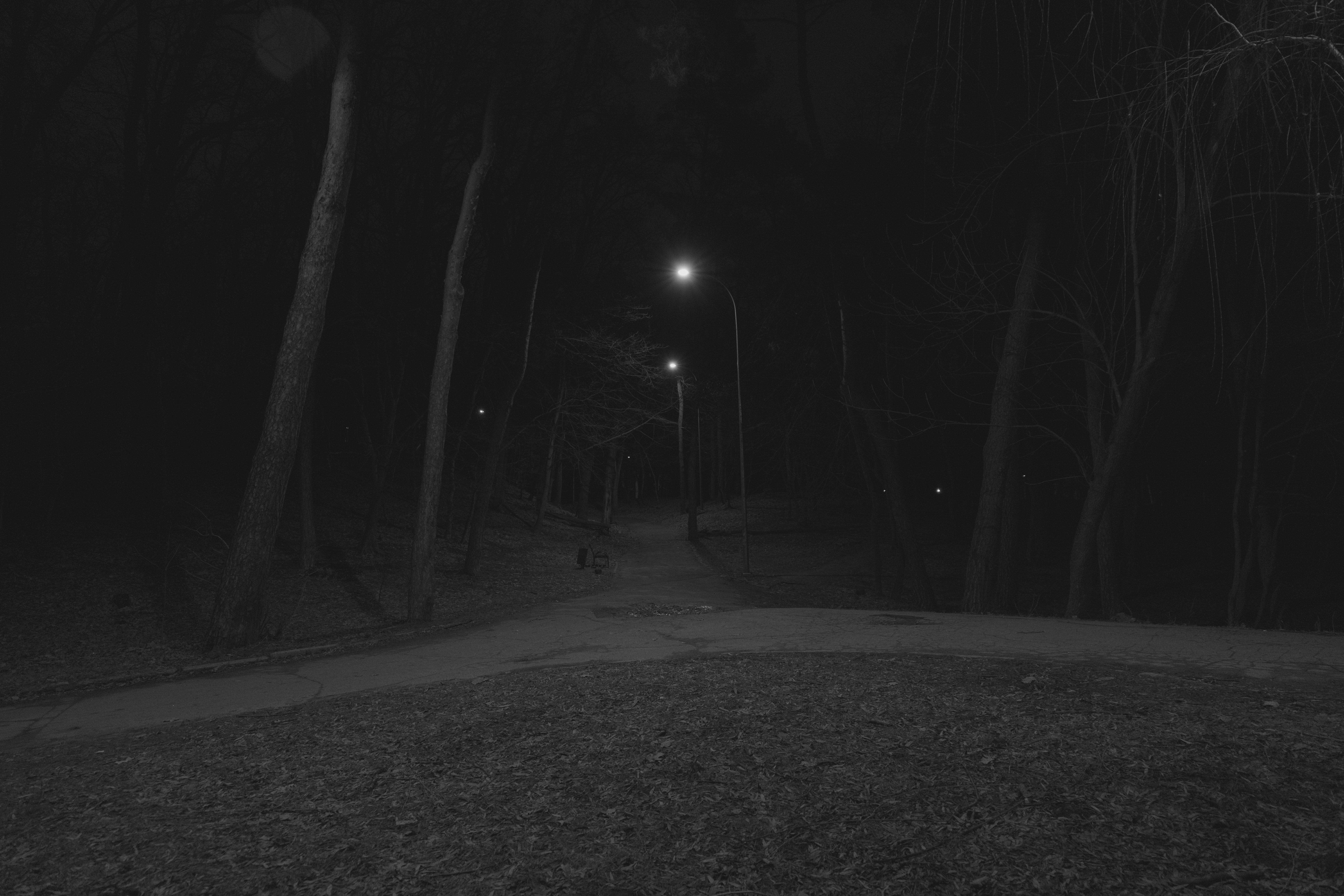 Photo by vladyslav999