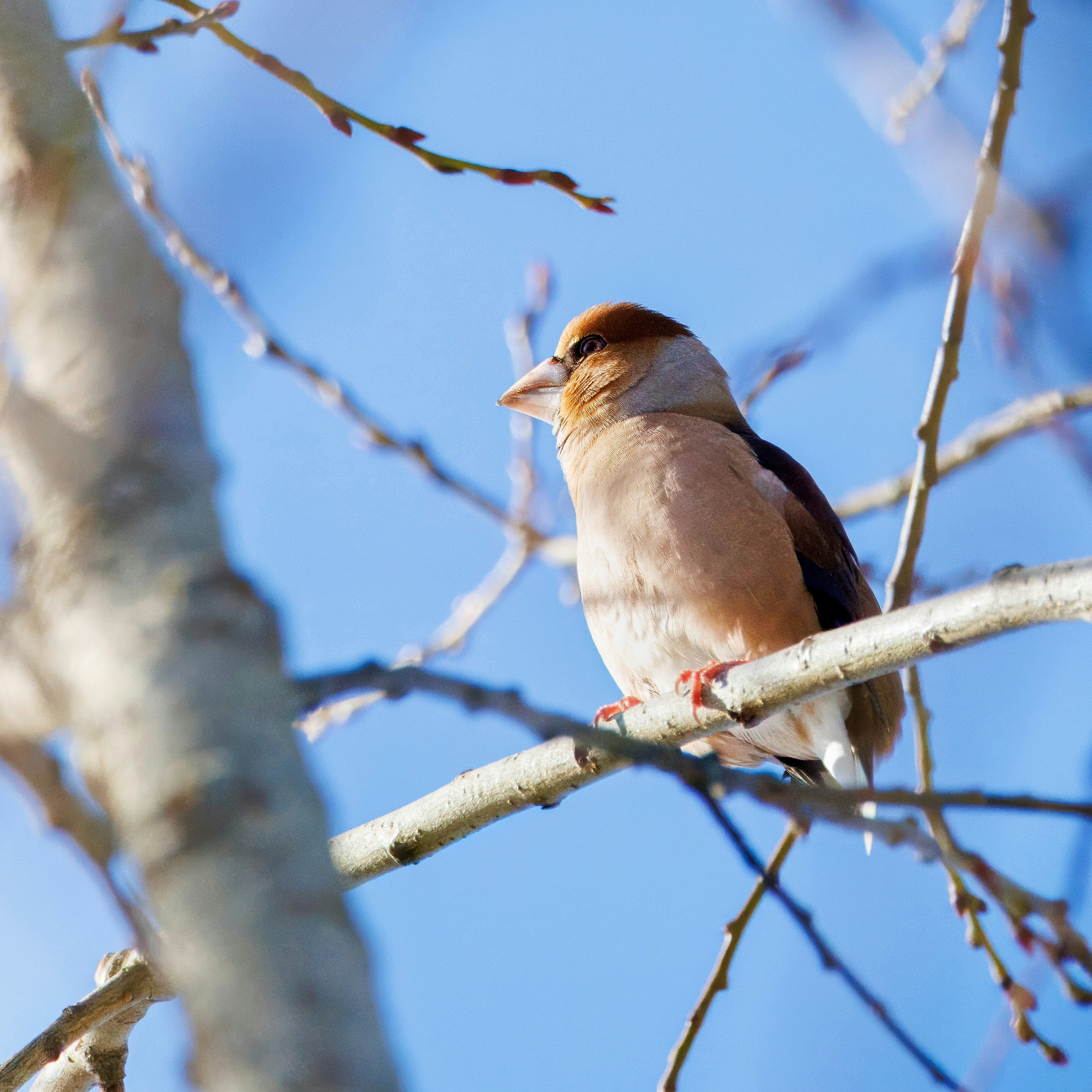 Photo by matt_liatkouski