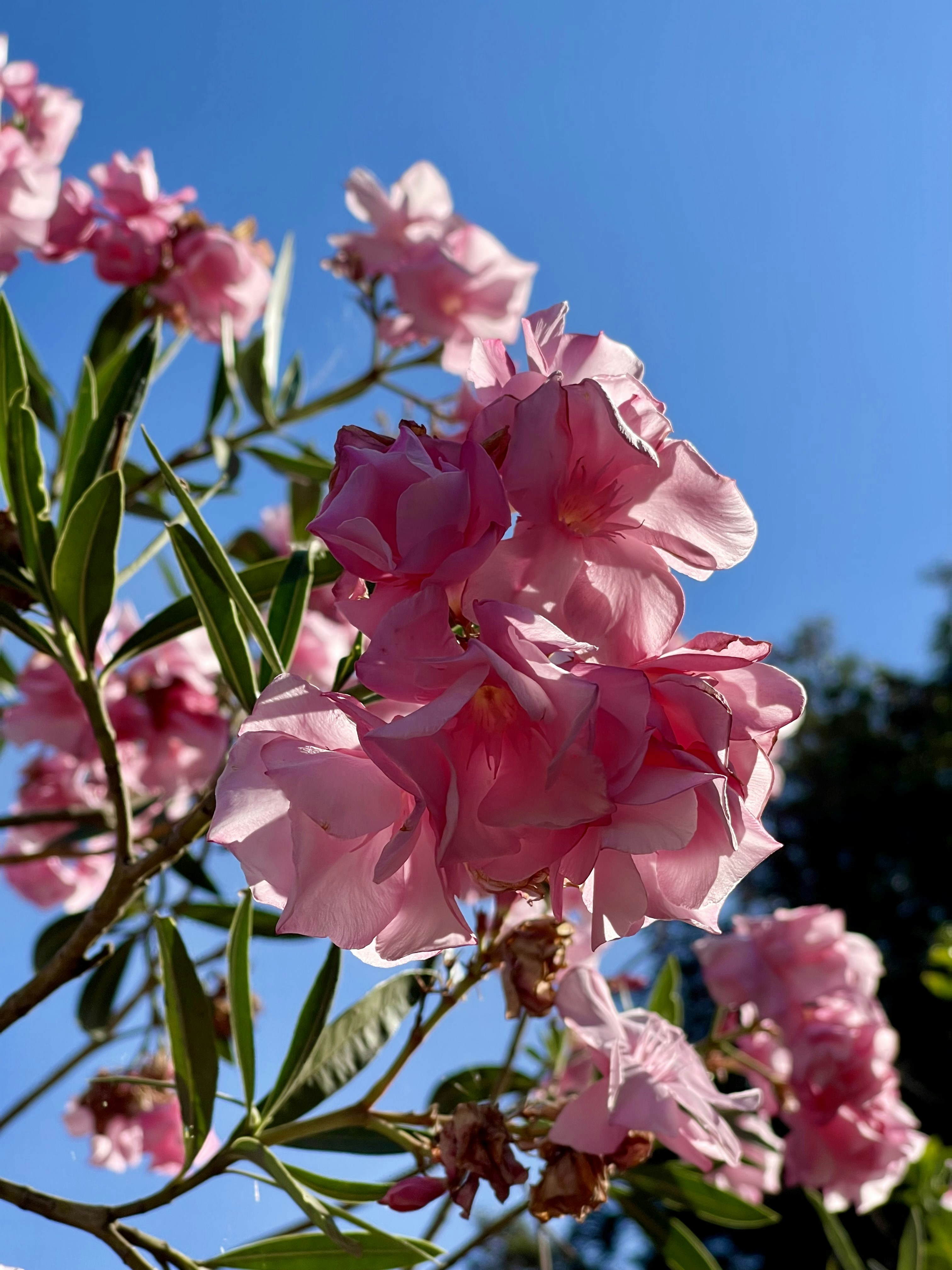 Photo by theskinnyratt