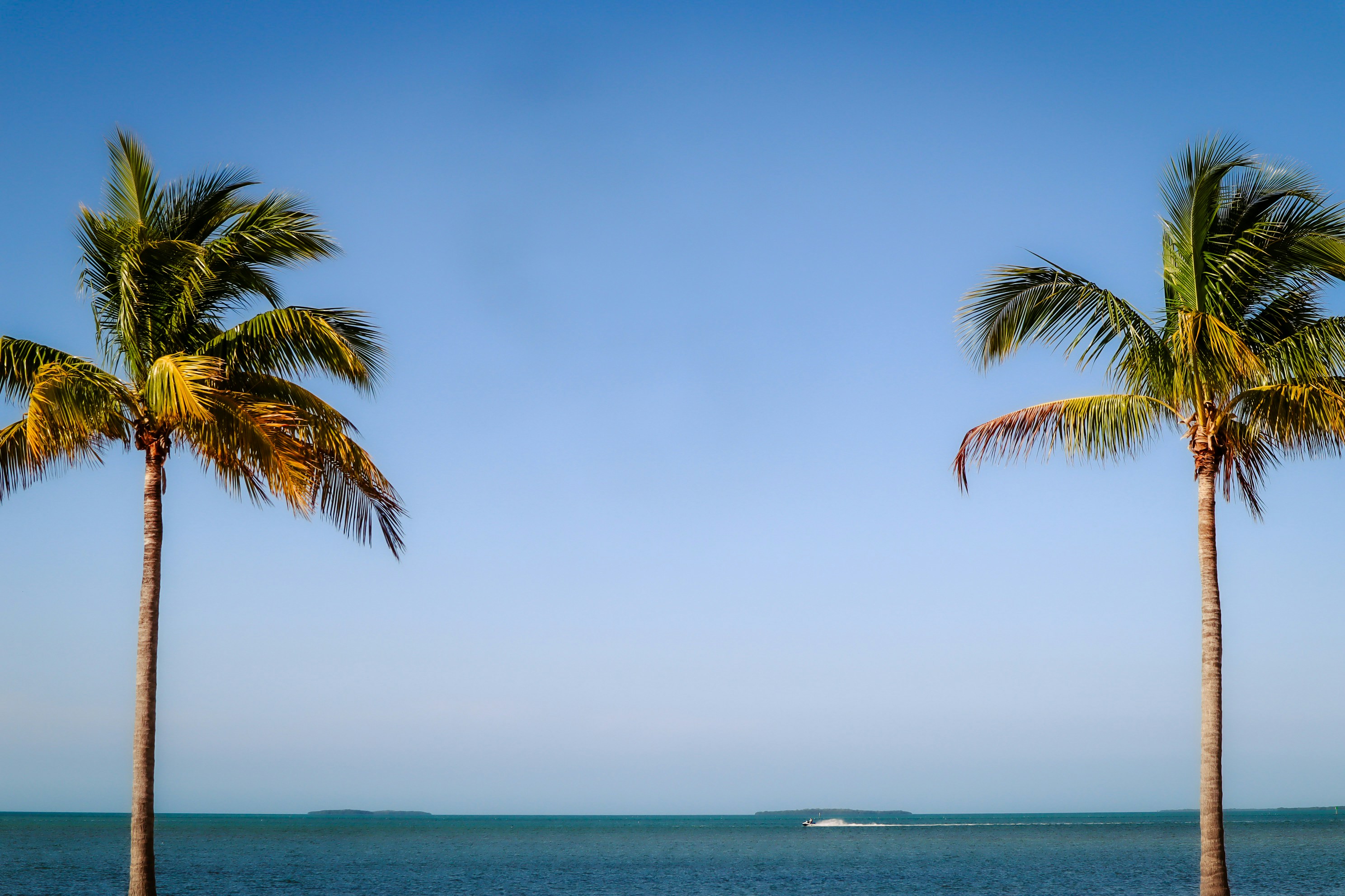 Włoszki triumfują na mistrzostwach świata w siatkówce kobiet