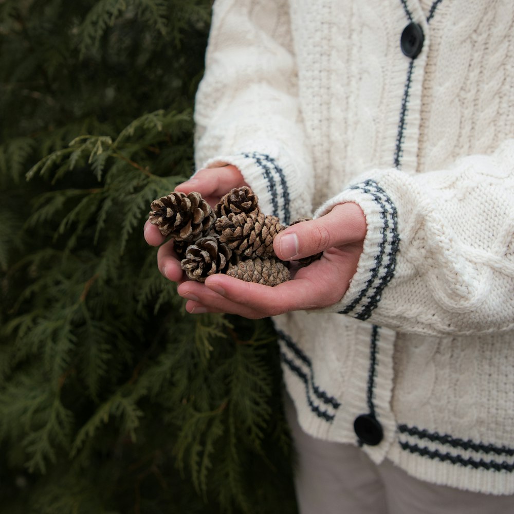 a person holding a pine cone in their hands