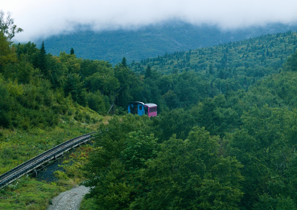 a train traveling through a lush green forest