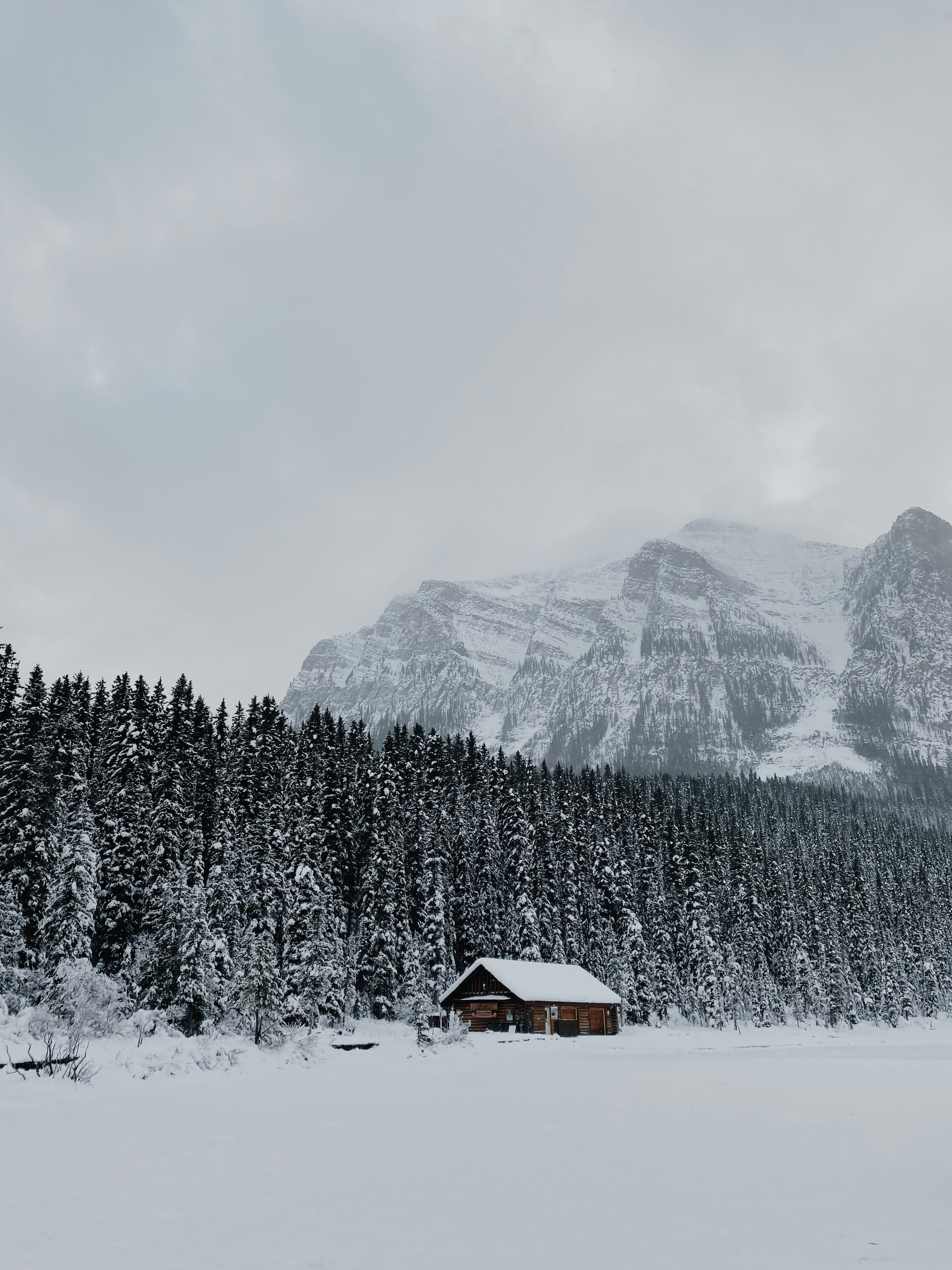 Photo by ariannawelke