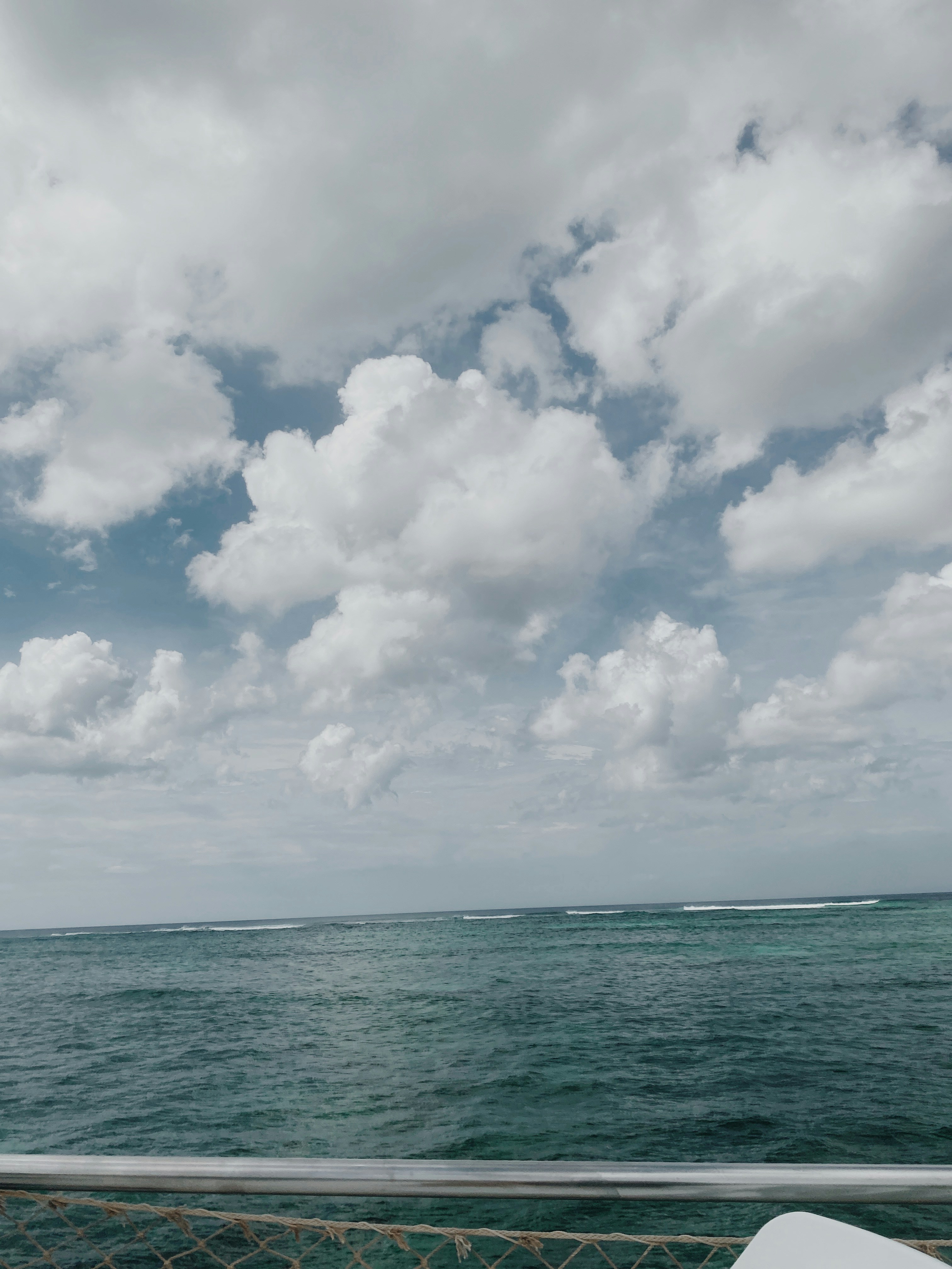 Photo by ariannawelke