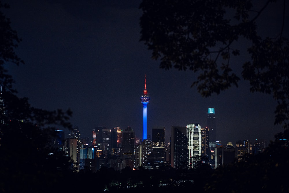 a view of a city skyline at night