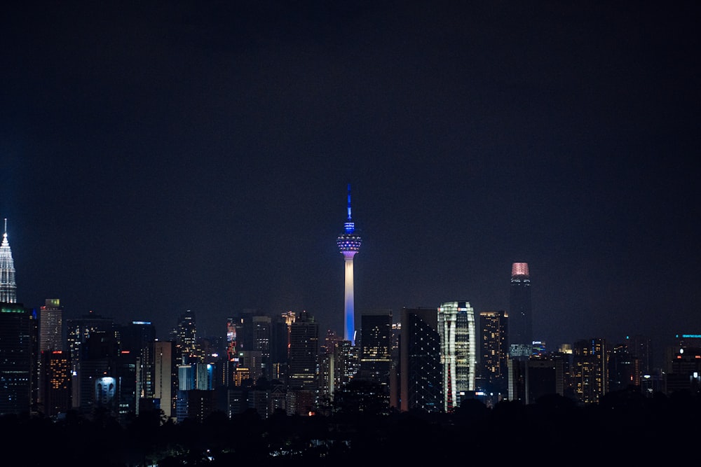 a view of a city skyline at night