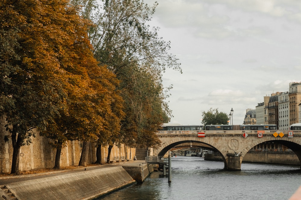 a bridge over a river with a train on it