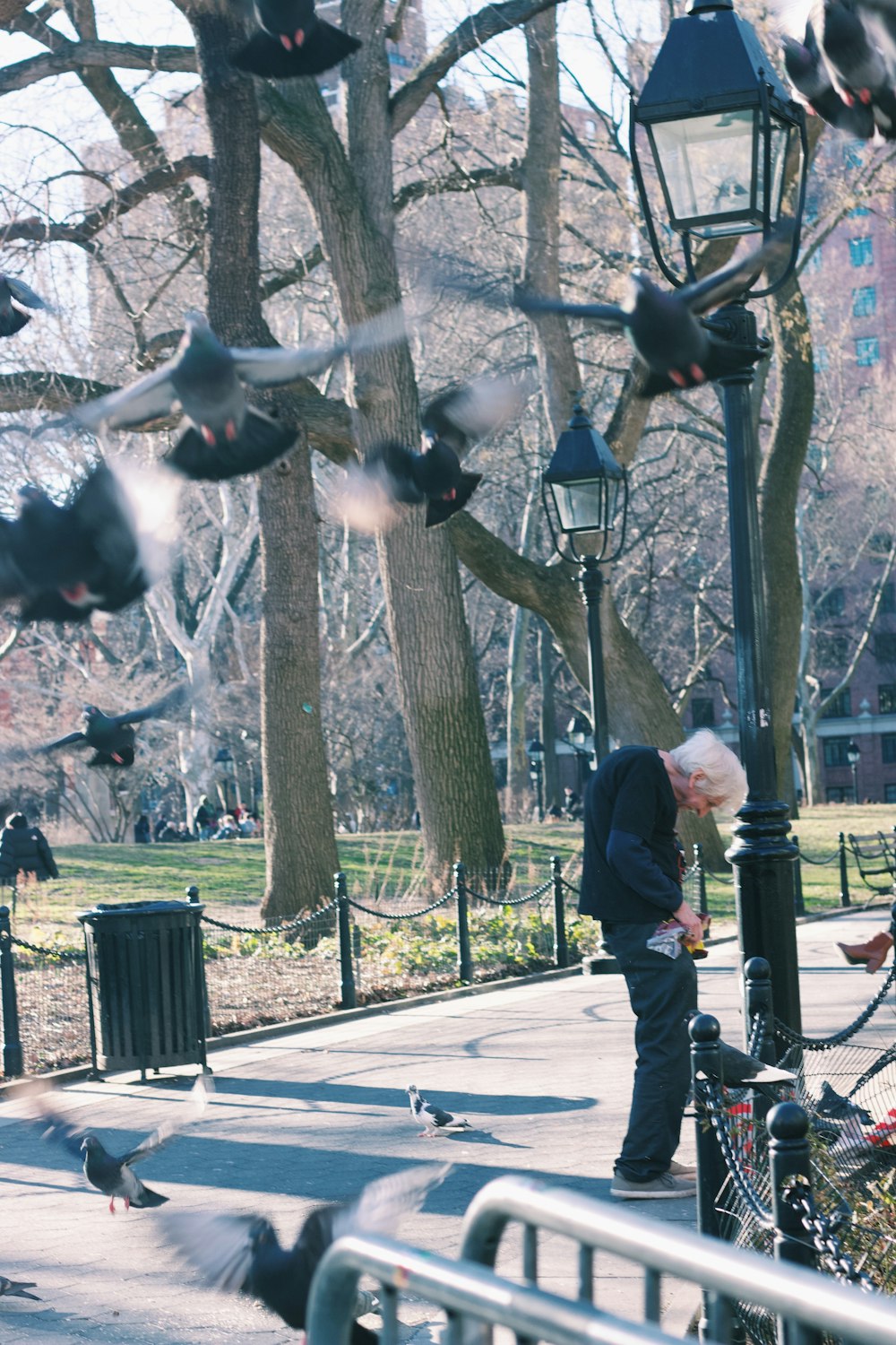 a man is feeding pigeons in a park