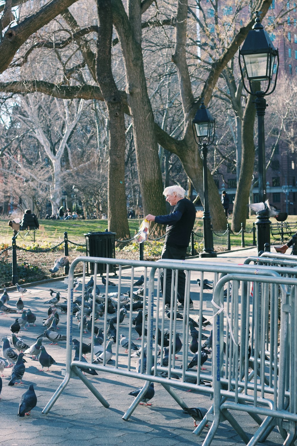 a man feeding a flock of pigeons in a park