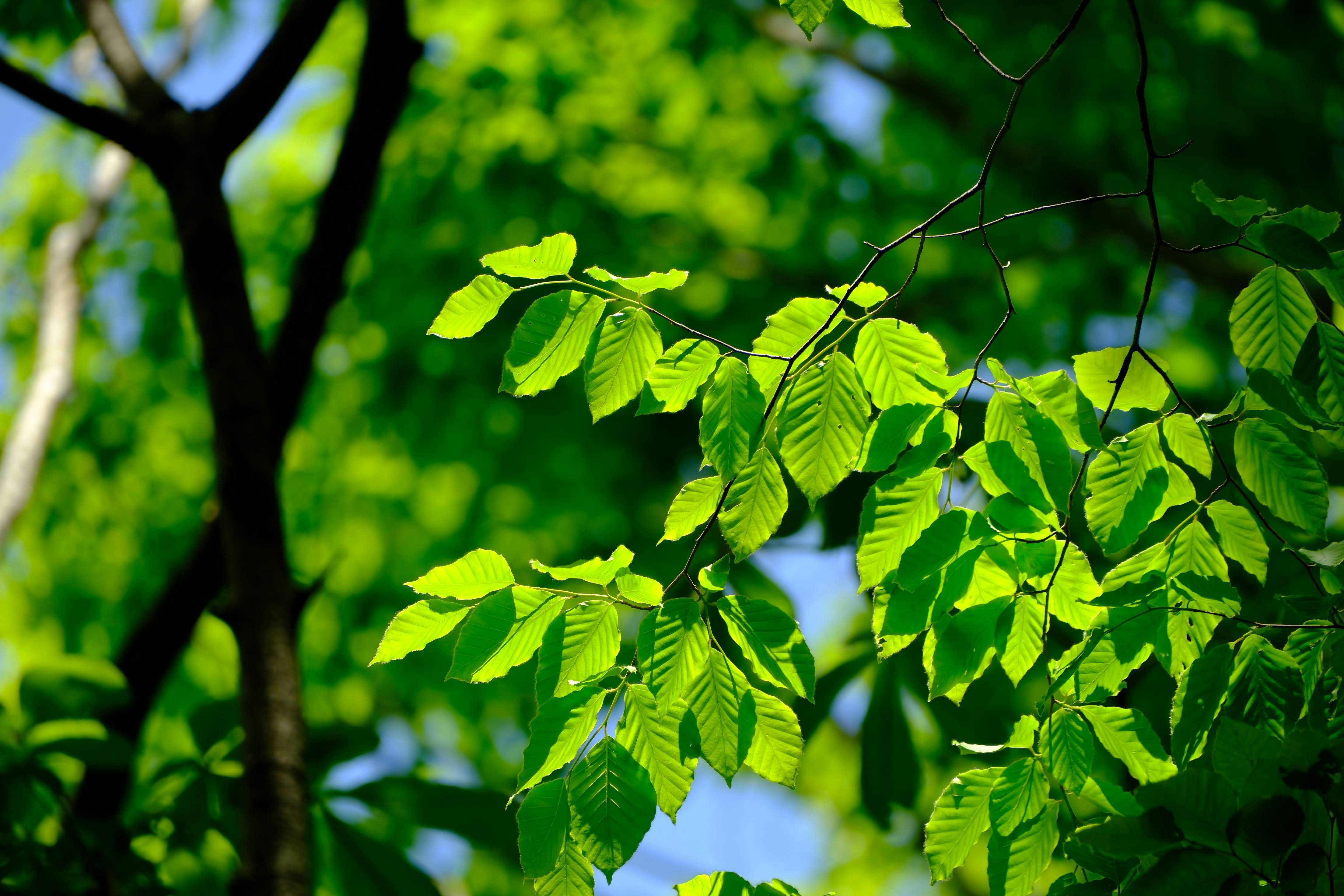 Photo by seiya_maeda