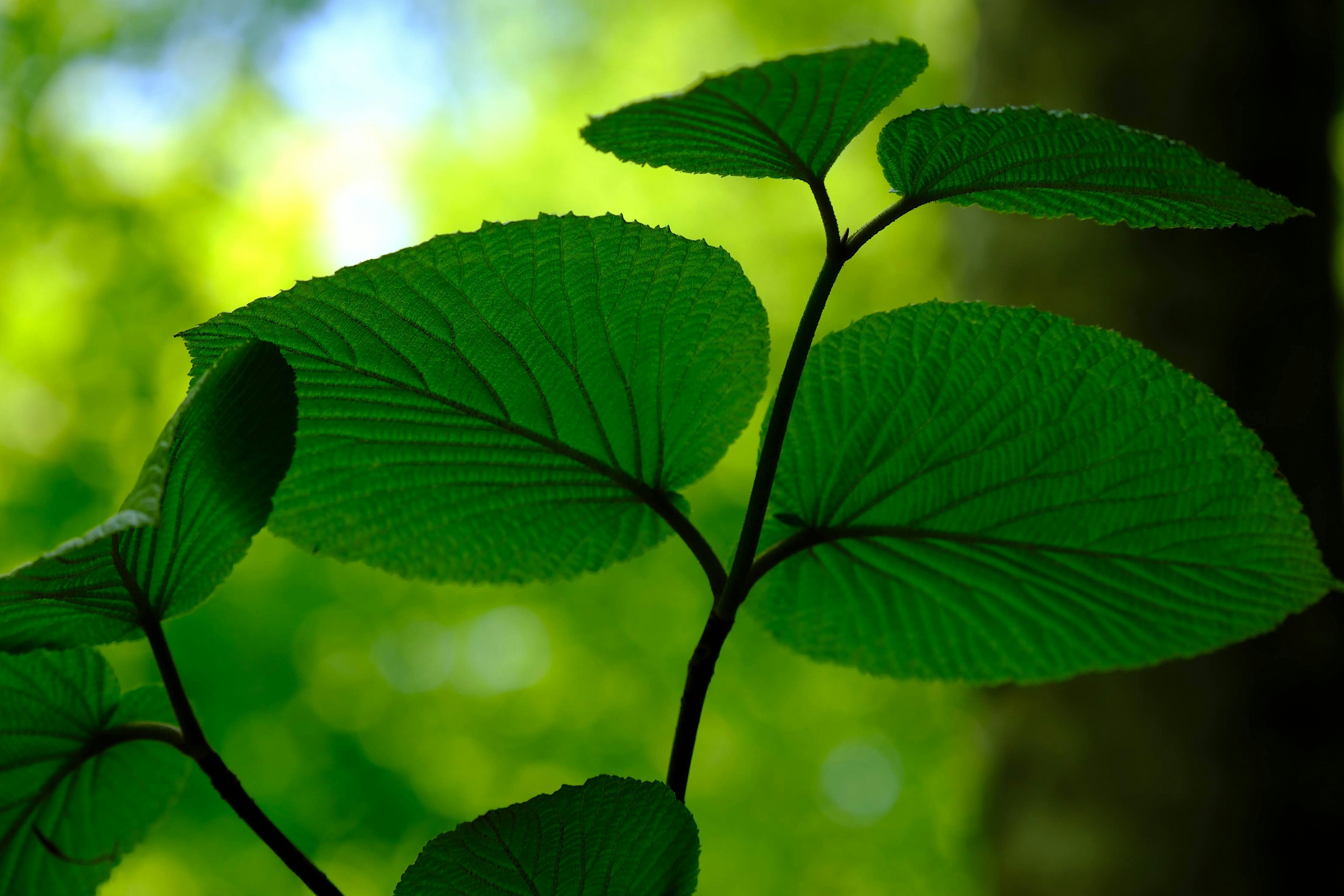 Photo by seiya_maeda