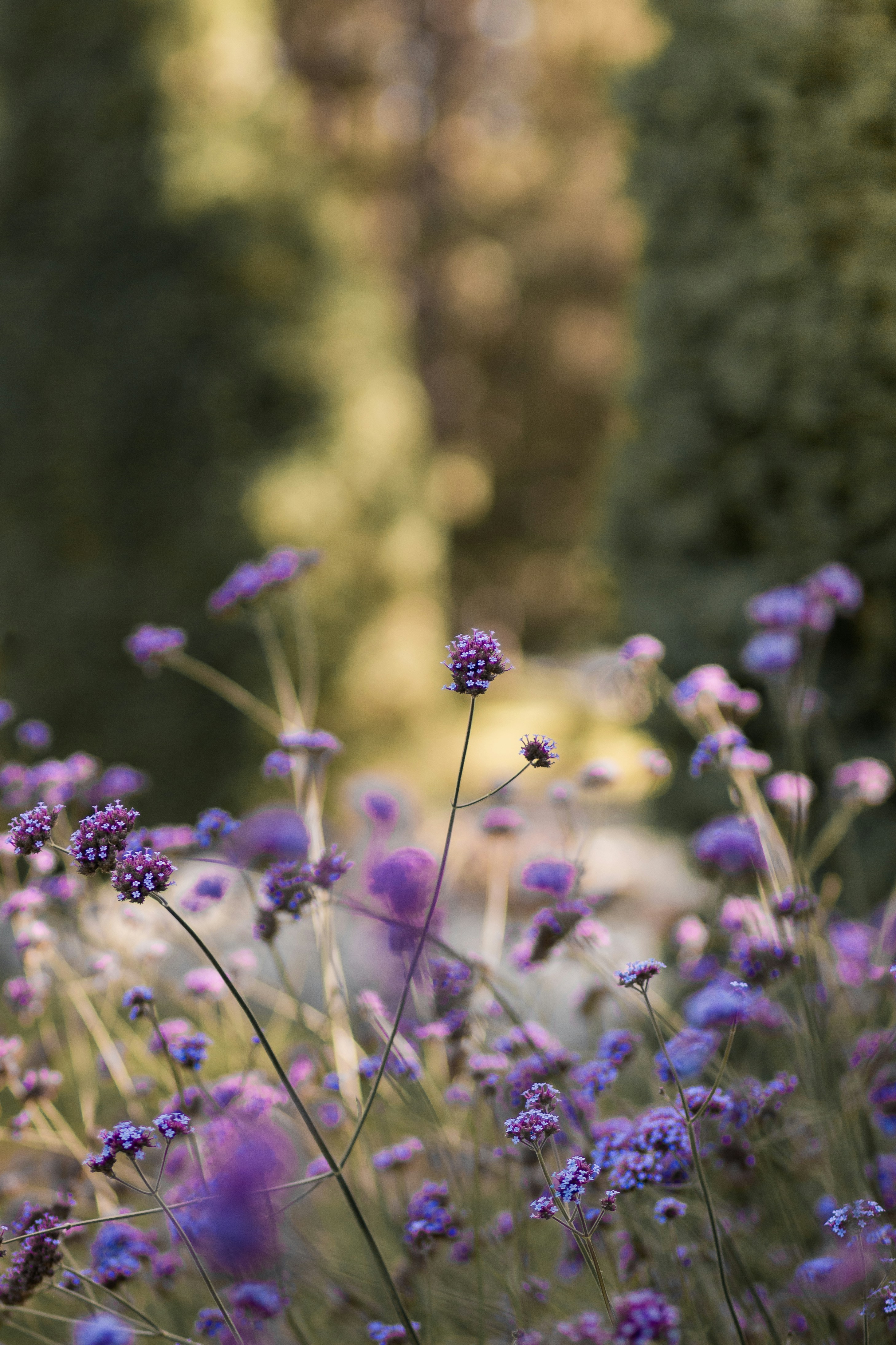 Photo by capturedbydaria