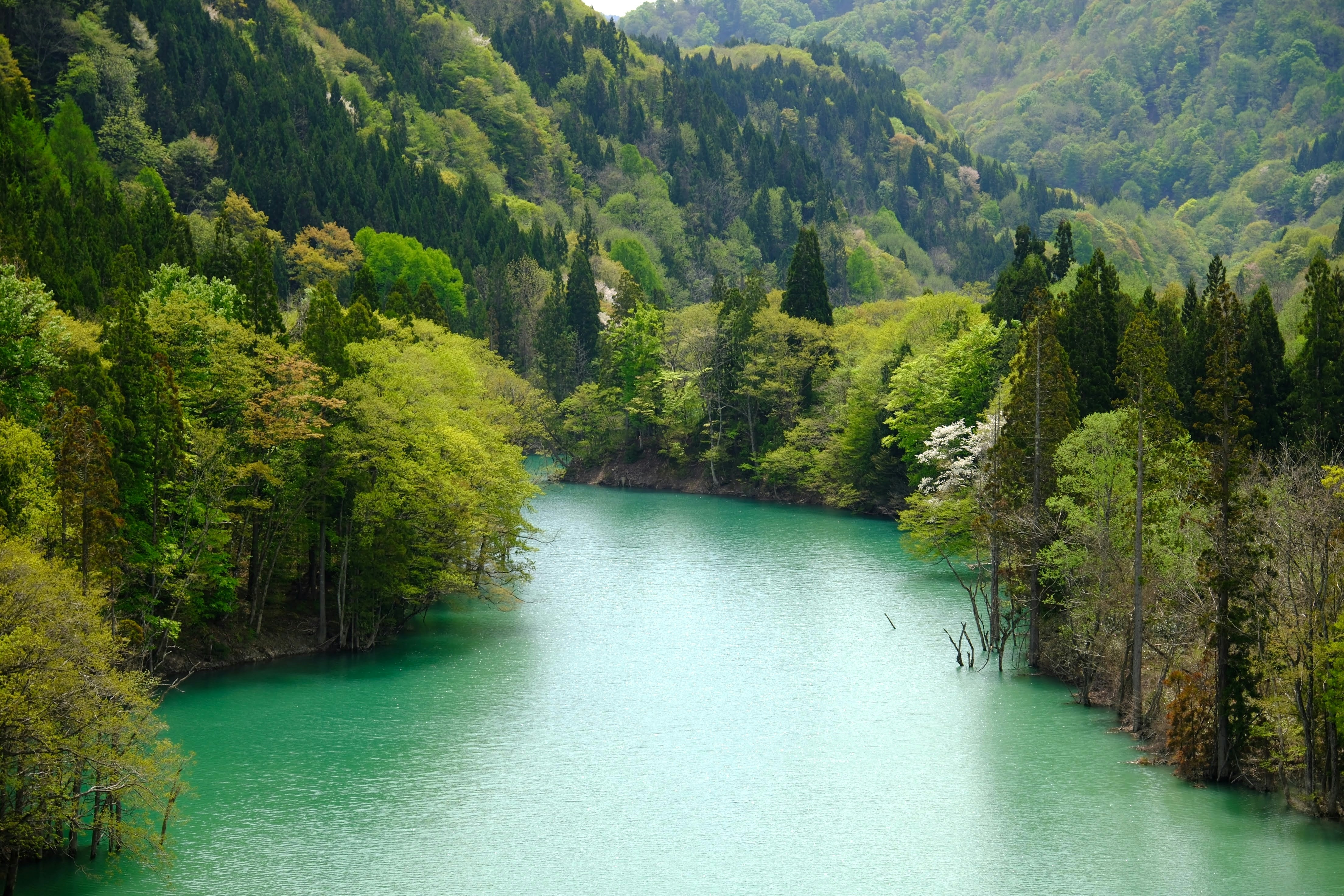 Photo by seiya_maeda