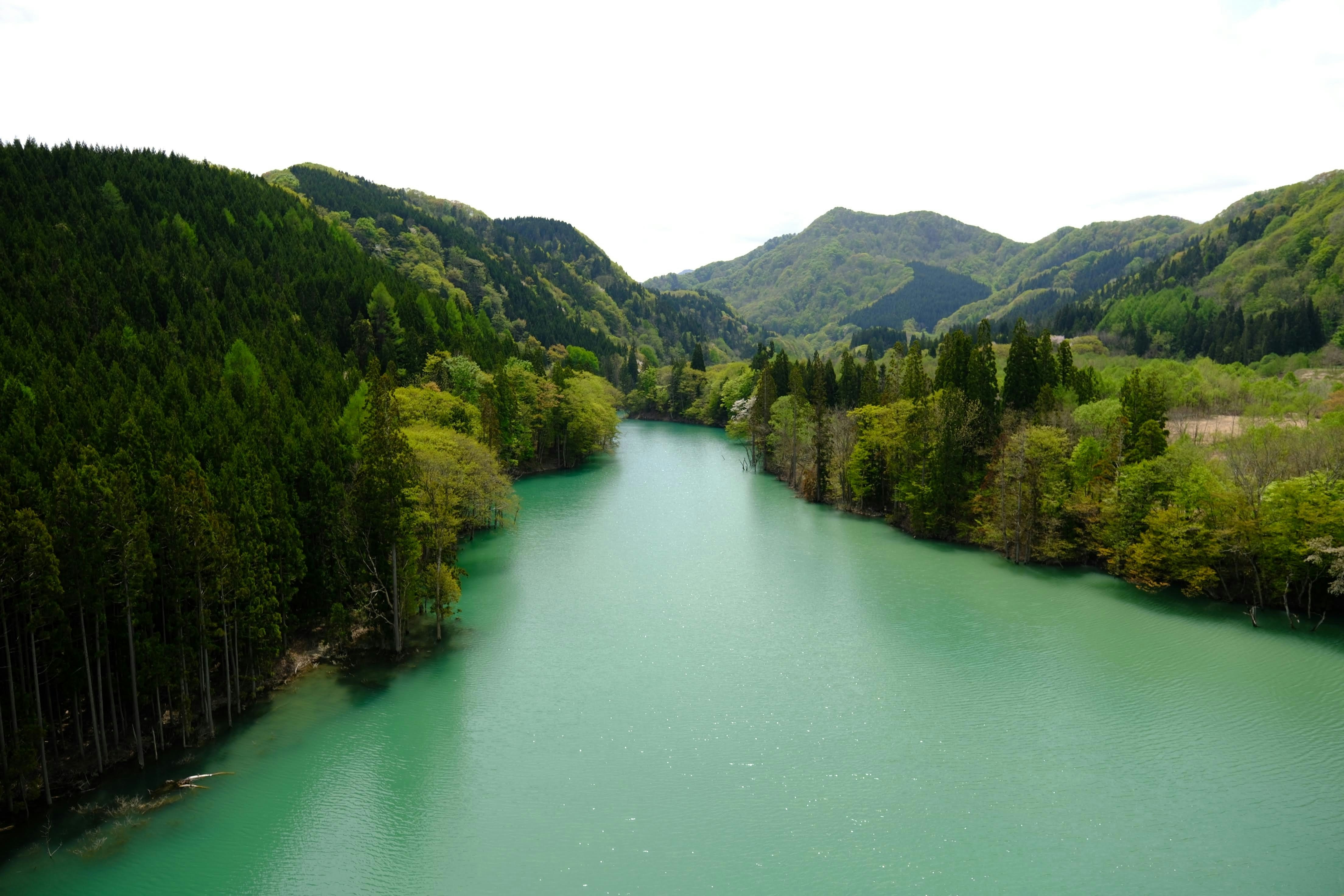 Photo by seiya_maeda