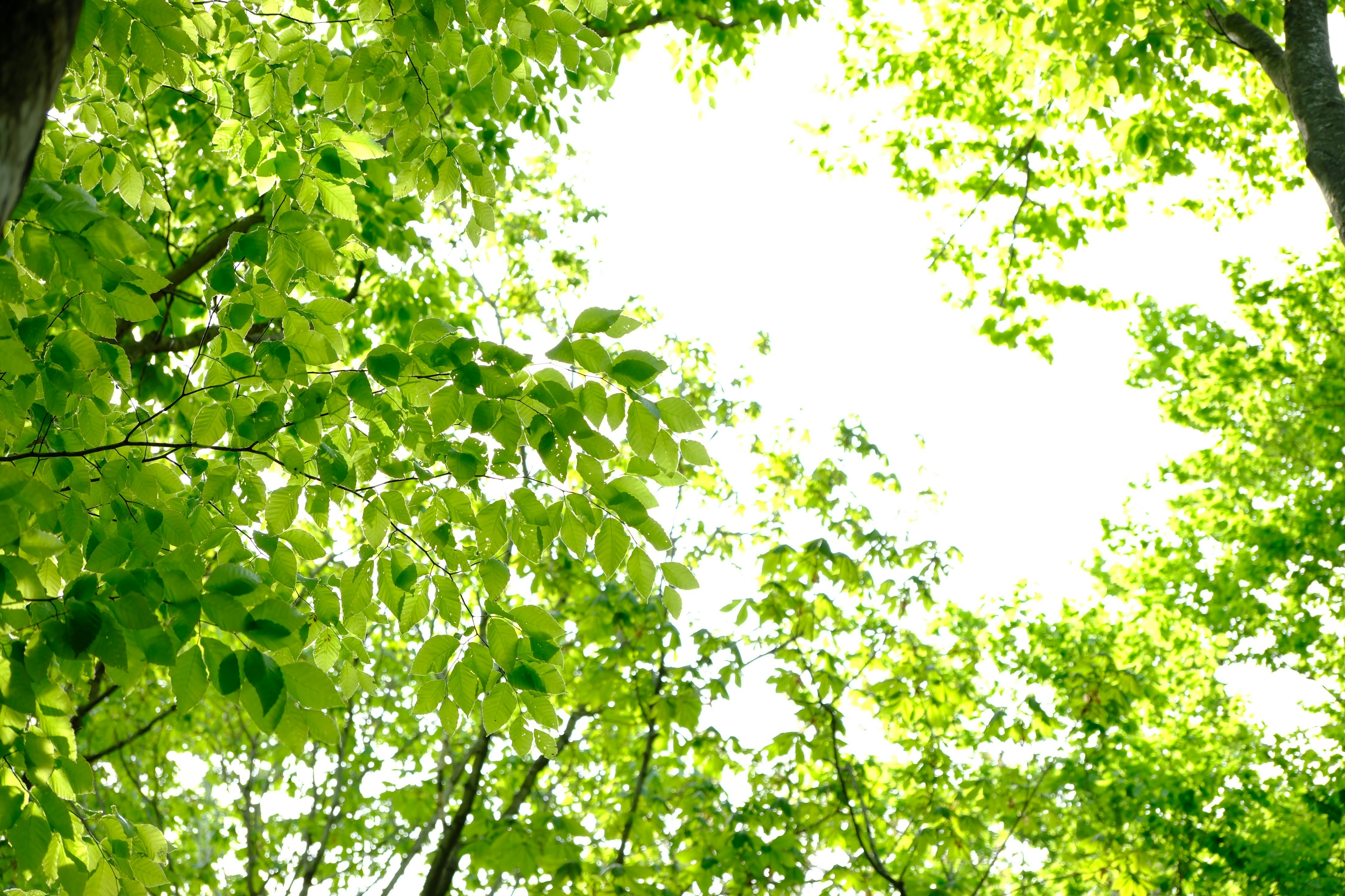 Photo by seiya_maeda