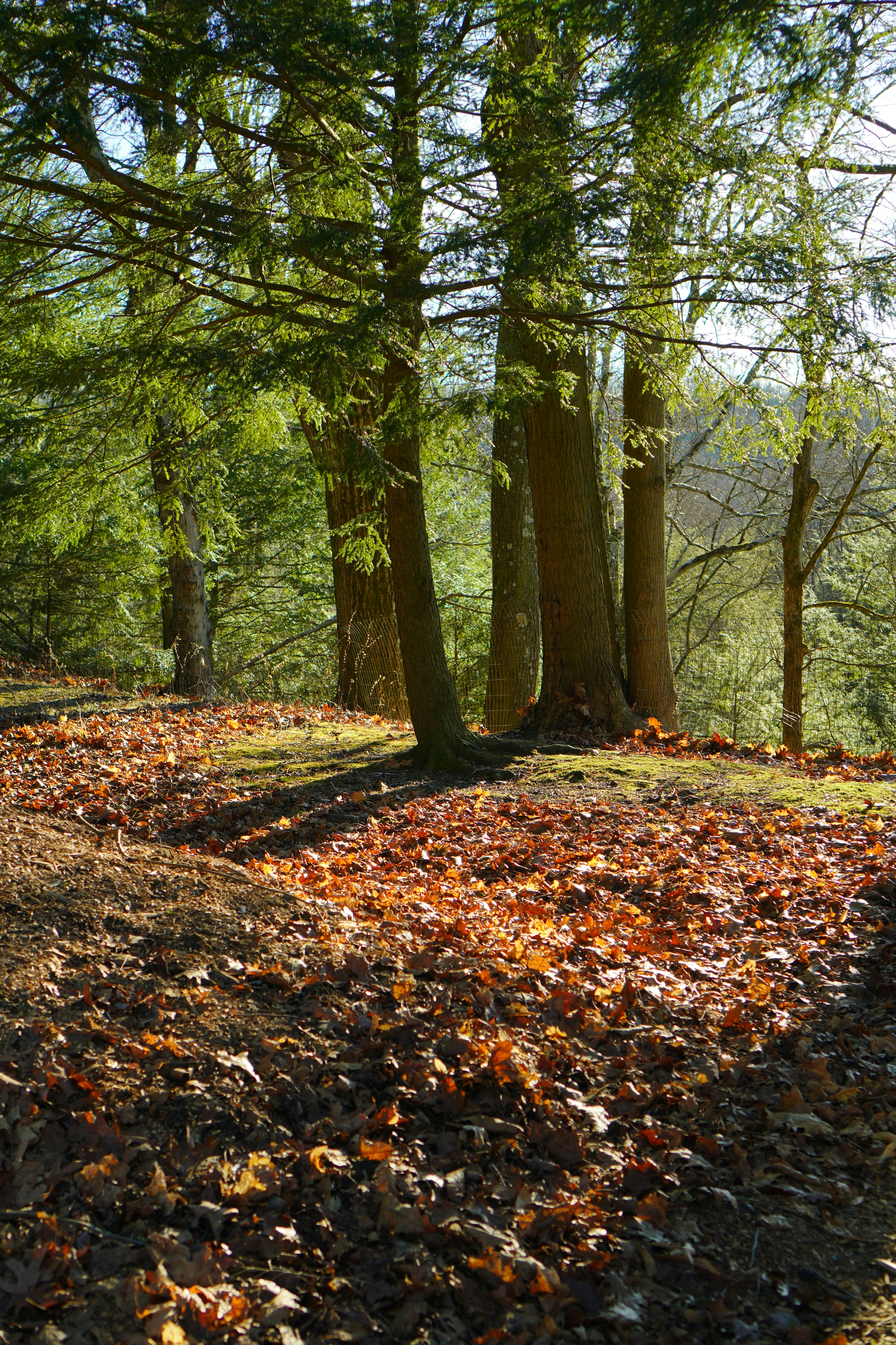 Photo by zhenyao_photo