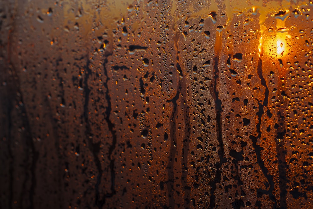 rain drops on a window with a street light in the background