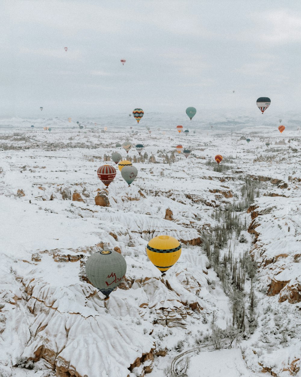 a bunch of hot air balloons flying in the sky