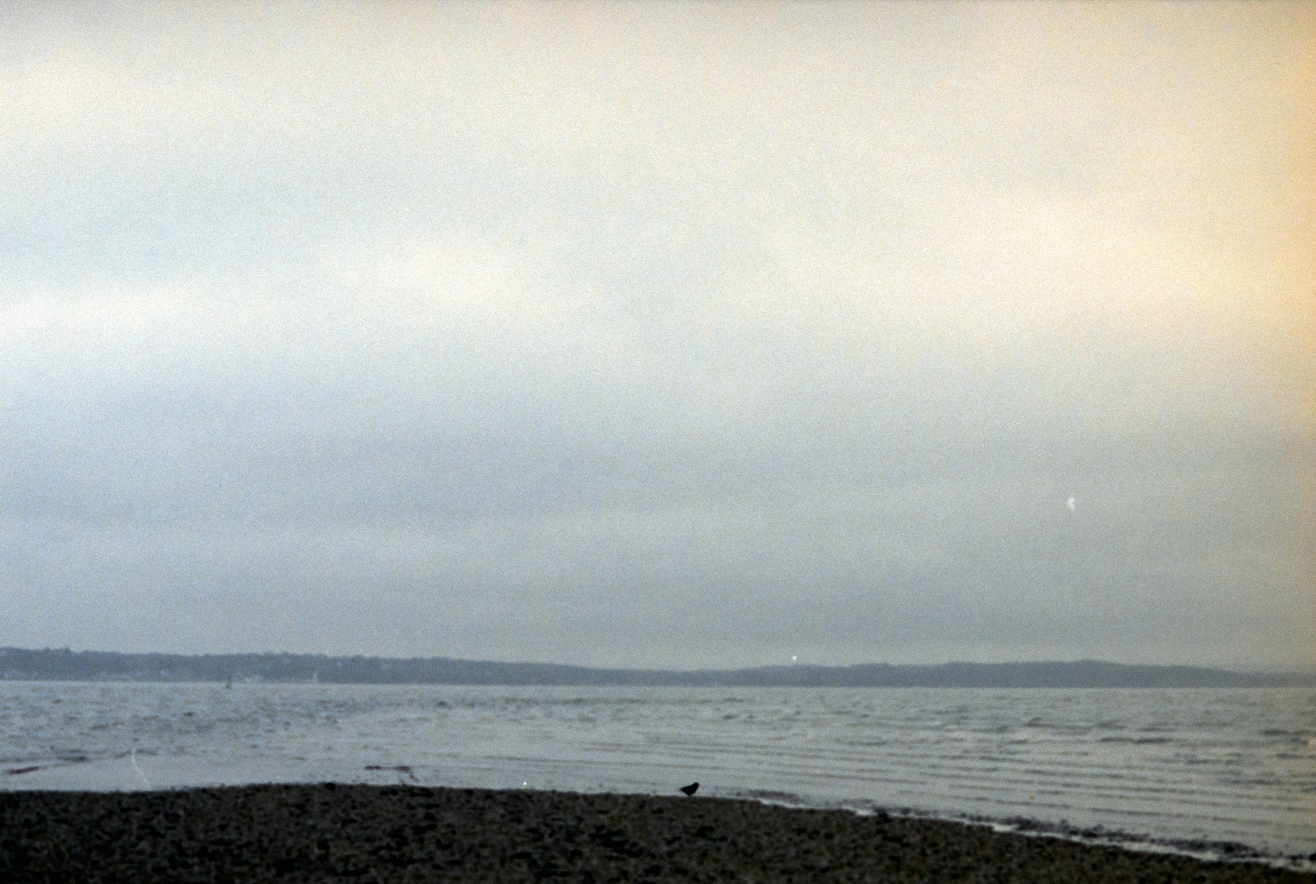 Photo by anniespratt